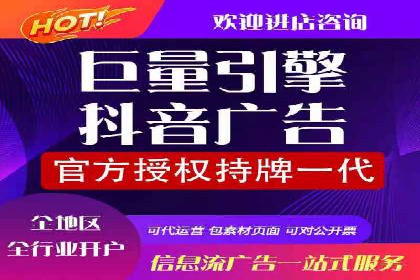 SEM广告案例：数据分析驱动营销决策